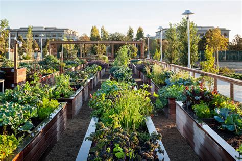 Community Garden — Homestead Design Collective