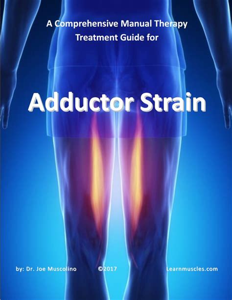 A Comprehensive Treatment Guide for Adductor Strain - Learn Muscles