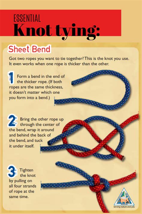 Sheet bend knot: perfect for tying two ropes together | Knots, Rope ...