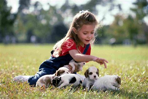 Little Girls With Puppies