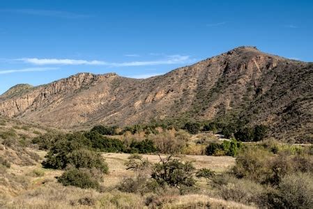 Chaparral Biome | Definition, Climate & Locations - Lesson | Study.com