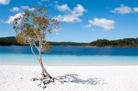 Explore Fraser Island | Quarterdecks Retreat