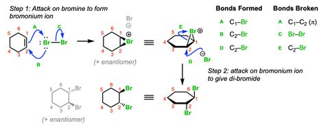 Bromination of alkenes with Br2 to give dibromides – Master Organic ...