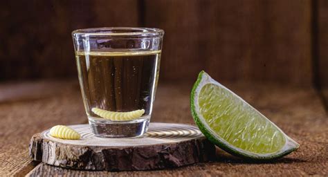 What Tequila Has A Worm In It? - DrinkStack