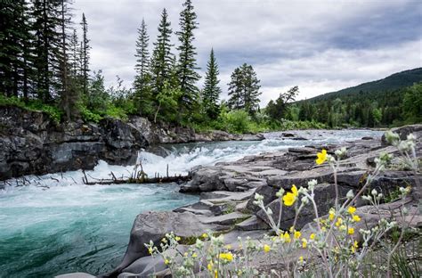 A Visit to Southern Alberta's Castle Provincial Park - Hike Bike Travel