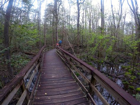 Congaree National Park