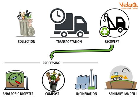 Solid Waste Management - Definition, Types, Sources And Effects