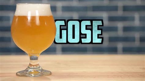 How To Brew Gose Beer [Full Recipe] Homebrew Academy