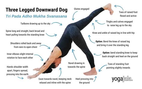 What Are The Benefits Of Downward Dog In Yoga