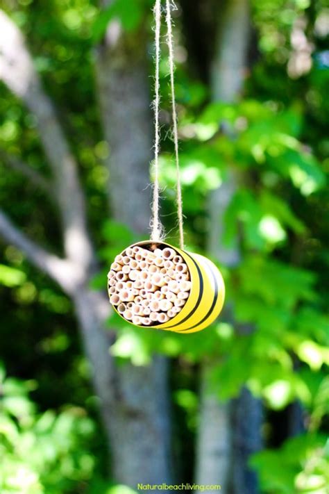 How to Make a Mason Bee Habitat - Perfect Life Cycle of a Bee ...