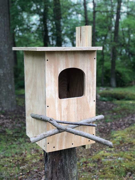 Conservation Barred Owl House Kit, Barred Owl Nesting Box, Barred Owl ...