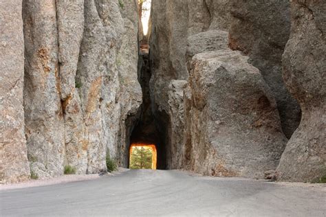 Black Hills Scenic Drives: Needles Highway, the Wildlife Loop, U.S. 14 ...