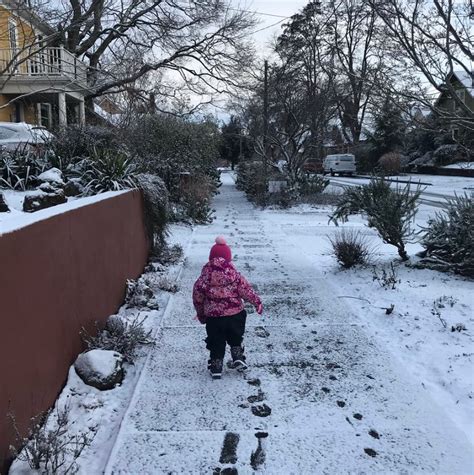 Portland snowstorm 2019: What you need to know - oregonlive.com