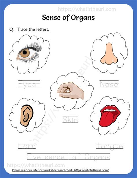 Trace the letters – Sense of Organs Worksheet | Sense organs chart ...