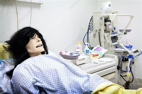 Manikin Simulation - Stock Image - C020/9428 - Science Photo Library