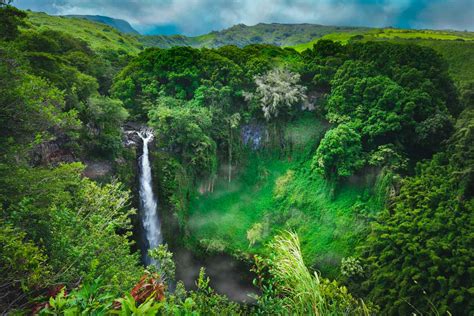 Road to Hana: Highway Map, Things to Do And Tips | Traffic Torch