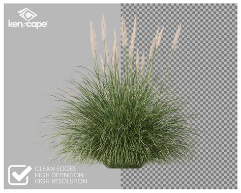 80 Grass Photo Overlays for Photoshop Grass Landscape - Etsy