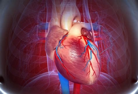 Poorer Clinical Outcomes in COVID-19 Driven by Comorbidities ...