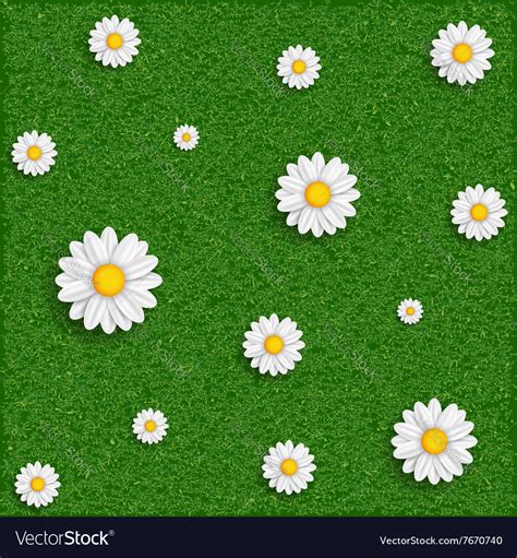 Background of grass and flowers image Royalty Free Vector