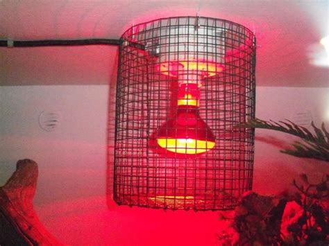 Cages and Enclosures - Light Cage for Snake Enclosures | Snake ...