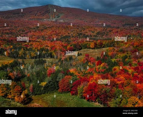 Vermont Fall Foliage Display - Aerial view of the natural landscape and ...