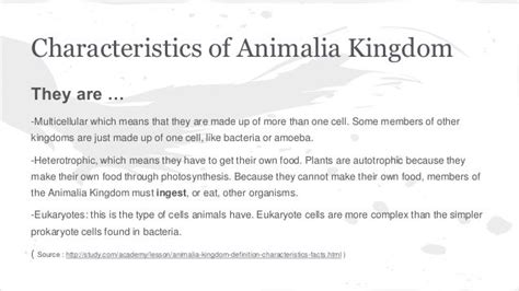 Animalia group 3