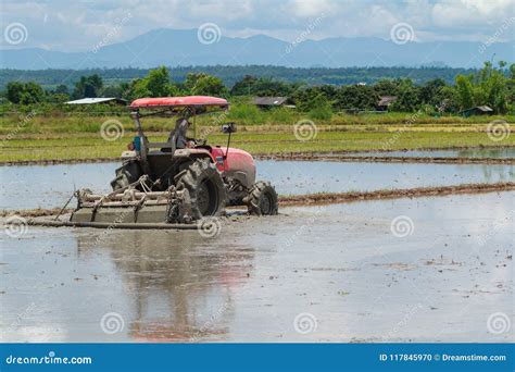 Tractor On The Rice Field Royalty-Free Stock Photography ...