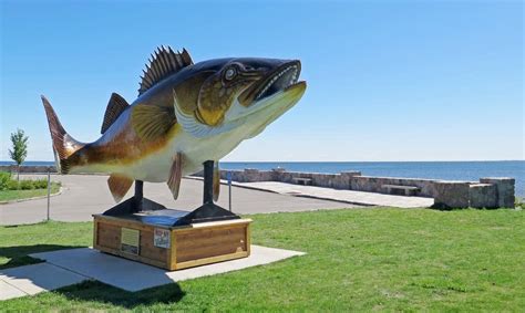 Mille Lacs walleye season closes Sept. 6 | MPR News