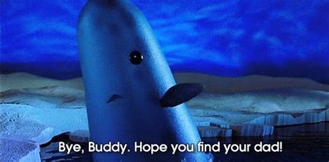 Mr. Narwhal is arguably the best part of the movie "Elf." | Buddy the ...