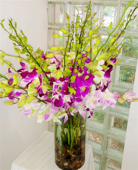 Luminous Luxury 30 Stem Orchid Bouquet in Miami Beach, FL | Miami Beach ...