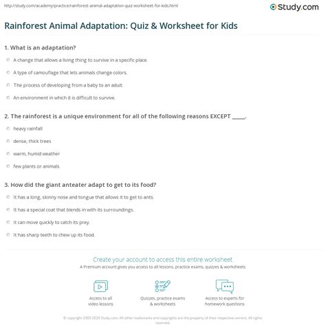 Rainforest Animal Adaptations Worksheet