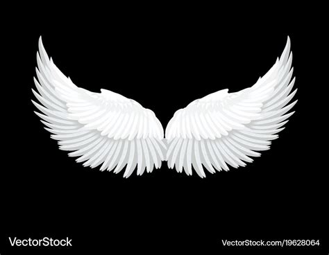 Realistic white angel wings Royalty Free Vector Image