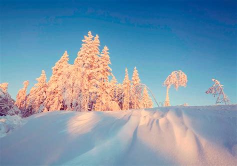 What Is The Difference Between Snow Flurries vs. Snow Showers ...