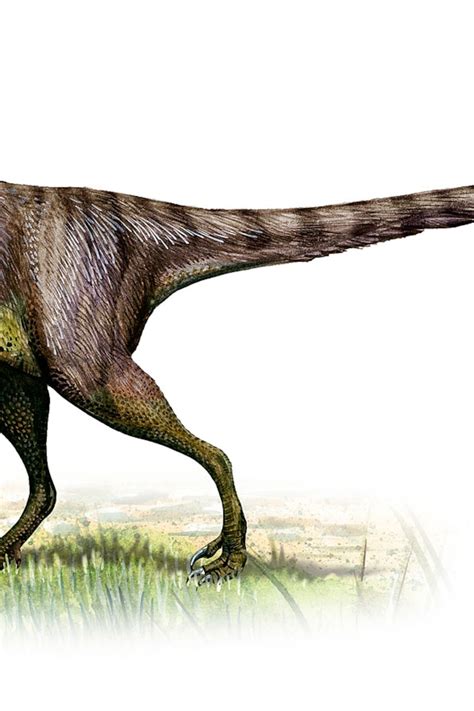 Dinosaurs Raptor