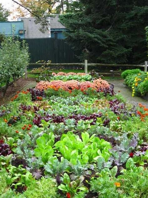 Potager garden design ideas – plans, layout and tips for beginners