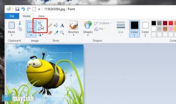 Cách cắt ảnh bằng Paint trong Windows 7,8,10 | Biết máy tính