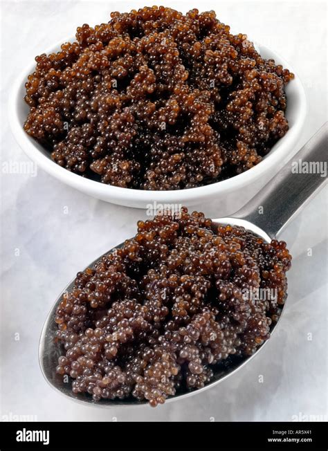 BLACK LUMPFISH CAVIAR Stock Photo - Alamy