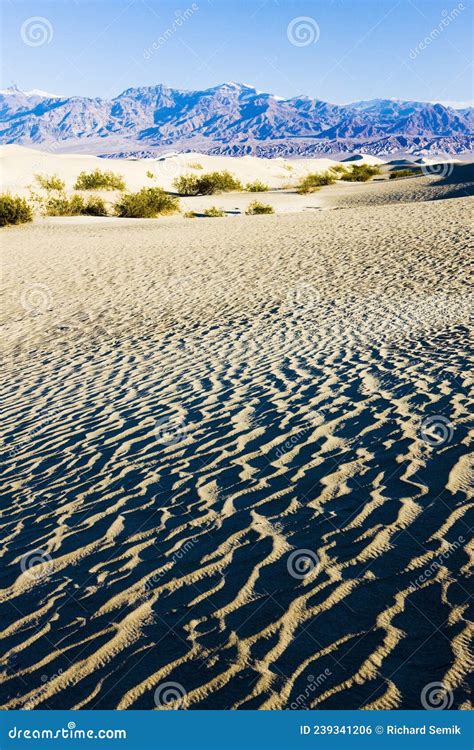 Stovepipe Wells Sand Dunes, Death Valley National Park, Californ Stock ...