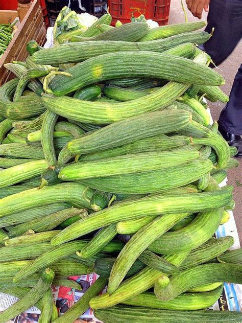 Armenian Cucumber Salad with Oregano - Moroccan Feggous Salad