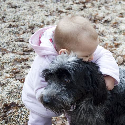 Baby hugging dog. stock photo. Image of expression, play - 12231560