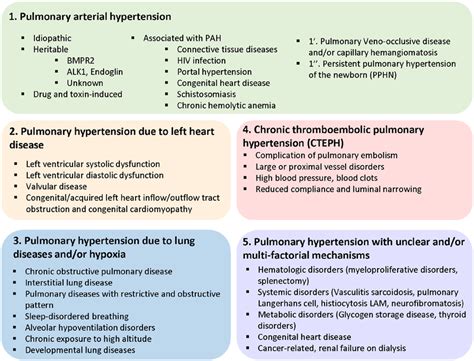 Updated classification of pulmonary hypertension. The World Health ...