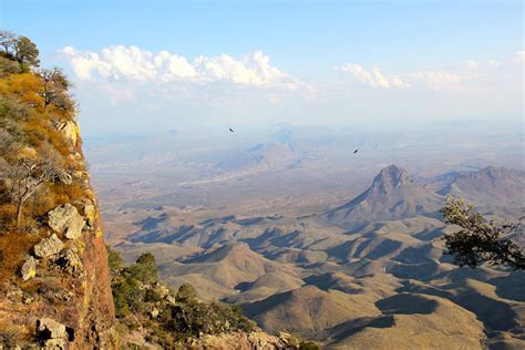 Chihuahuan Desert | One Earth