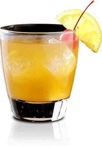 E&J Brandy Sour Cocktail Recipe