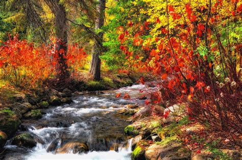 Forest river trees autumn nature wallpaper | 4288x2848 | 430397 ...