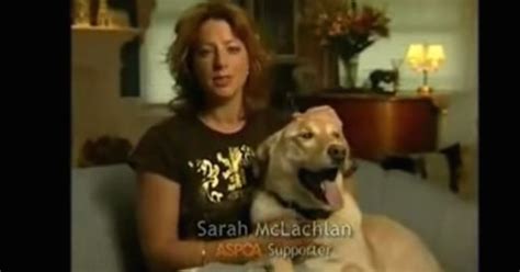 Sarah McLachlan Explains Her Role In Those Tragic Dog Commercials That ...