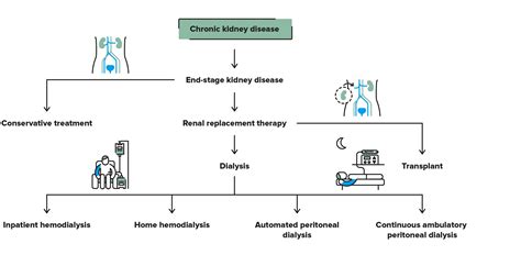 Tratamiento de la Insuficiencia Renal Crónica | PortalCLÍNIC