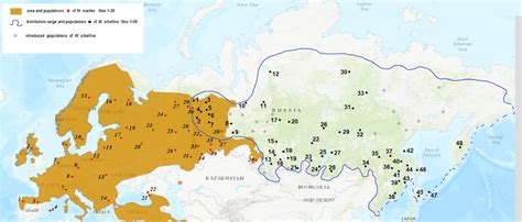 Pine marten and sable distribution map (Herrero et al. 2016; Monakhov ...