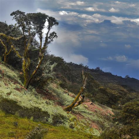 Bale Mountain National Park, Oromia Region: Horror Story, History ...