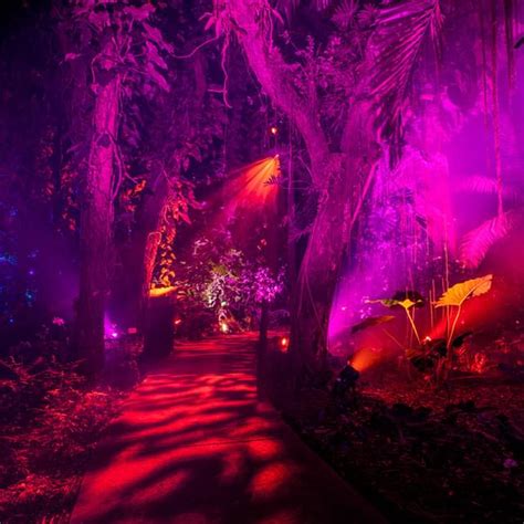 Night at the Garden Miami Experience: A magical light garden