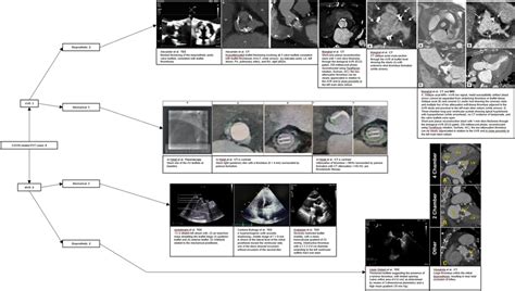 Collection of Images Presented with Selected Imaging Modalities. Top to ...